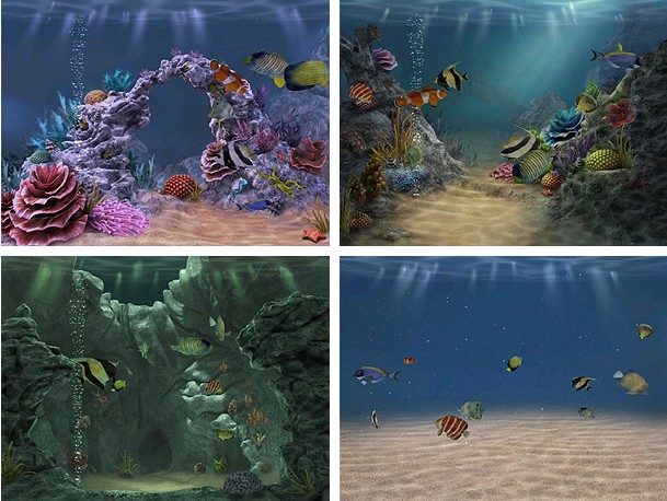 海洋水族屏幕保护