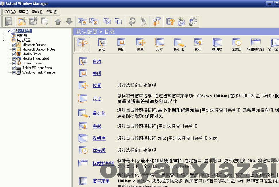 系统窗口管理助手_Actual Window Manager