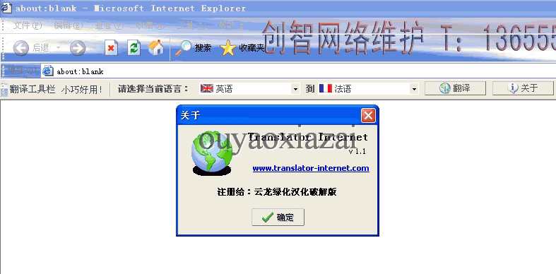 Translator Internet_12种语言网页翻译软件