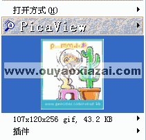 右健看图器PicaView 2.0 下载