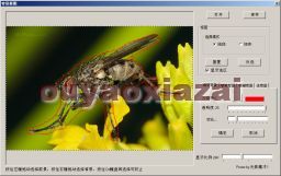 多媒体课件制作快手 V8.7 绿色免费版
