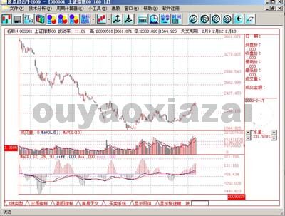 股票追击手炒股软件 2009 专业版下载