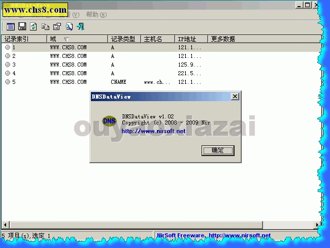 DNS解析记录查看器_DNSDataView查看DNS解析记录