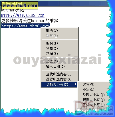 QuickPad_快速小型记事本软件