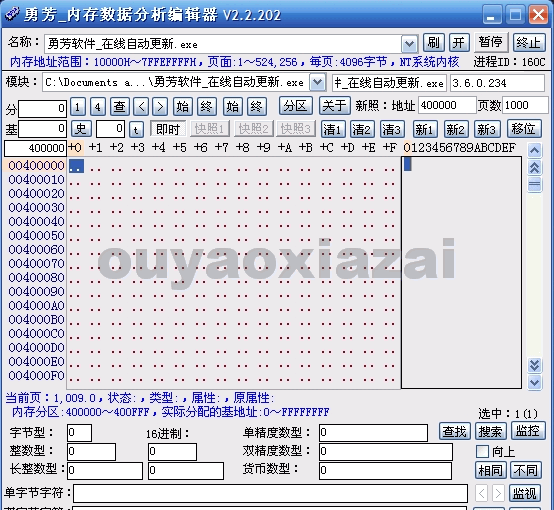 勇芳内存数据分析编辑器 V2.2.212 绿色免费版