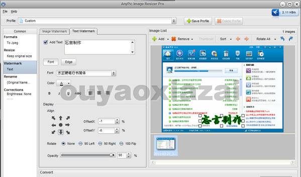 AnyPic Image Resizer_调整图片尺寸、转换格式、加水印等