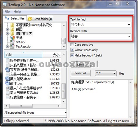 TexRep_文本替换软件 V2.2 绿色版