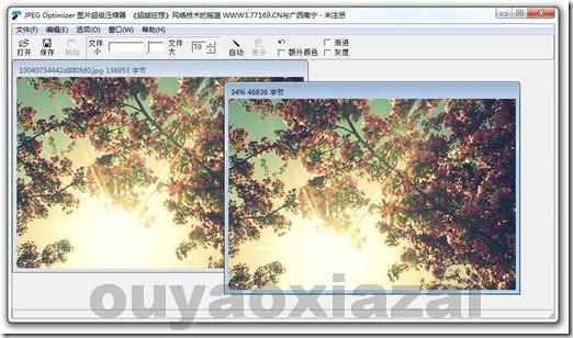 高压缩率不失真的图片压缩软件_JPEG Optimizer