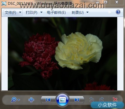 Windows7查看RAW图片补丁_Microsoft Camera Codec Pack