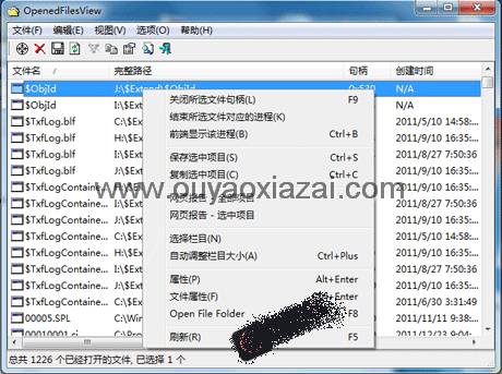 OpenedFilesView文件查看器_系统进程管理器