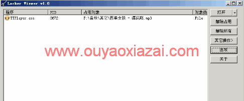 顽固文件强制删除工具_LockerViewer