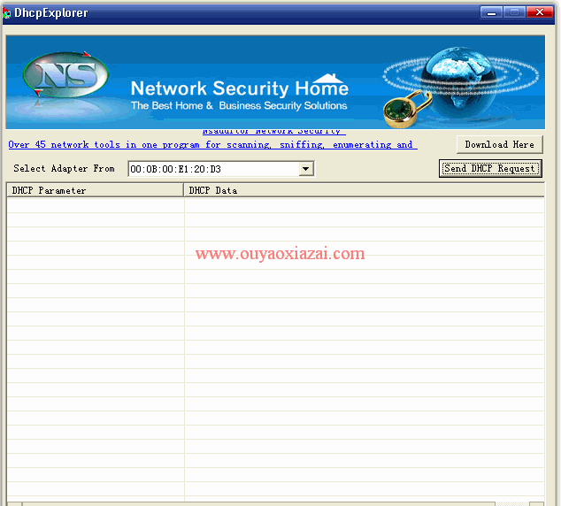 DHCP服务器扫描器_Nsasoft DhcpExplorer