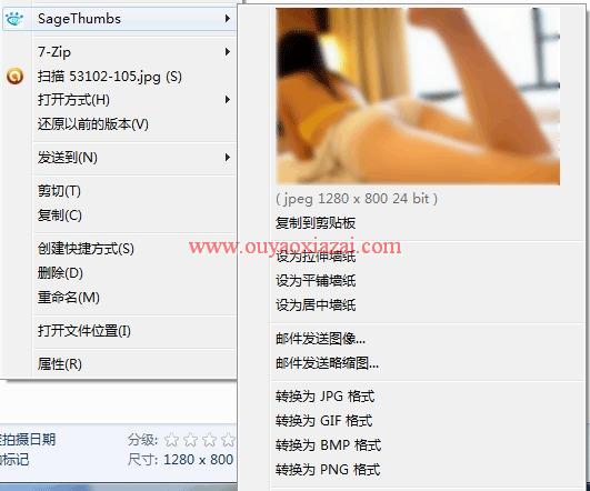 右键预览图片及右键转换图片格式工具_SageThumbs