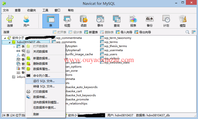 很好用的MySQL数据库管理工具_Navicat For MySQL