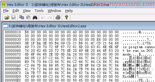 十六进制/十进制/二进制编辑器_Hex Editor II