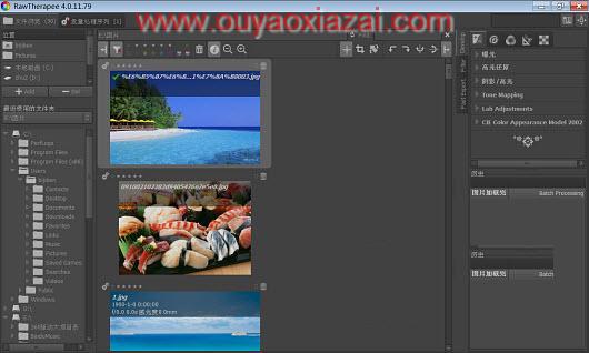 照片浏览器/照片微调软件_Raw Therapee