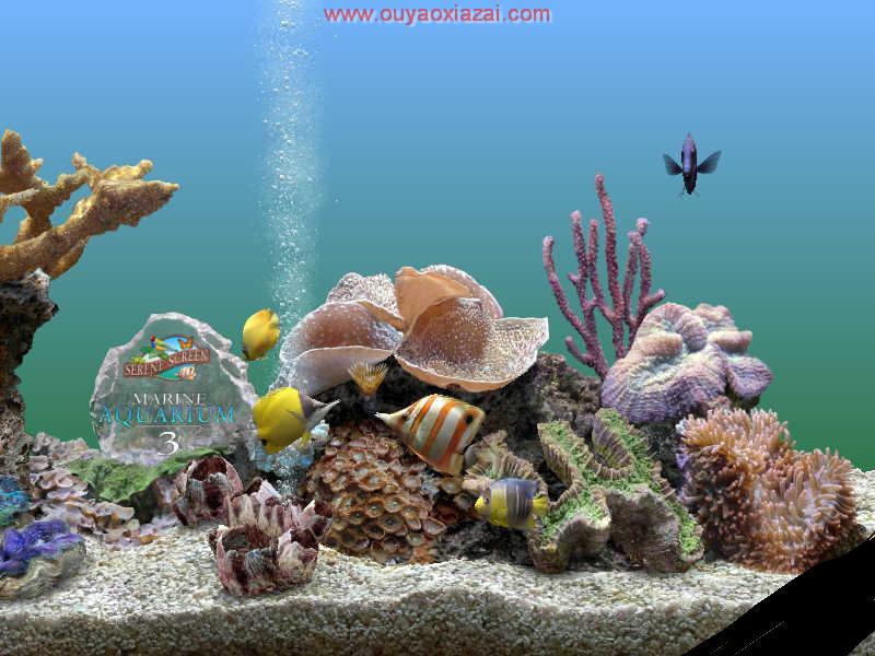 3D版热带鱼水族箱屏保_Marine Aquarium