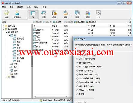 强大的Oracle数据库管理工具_Navicat for Oracle