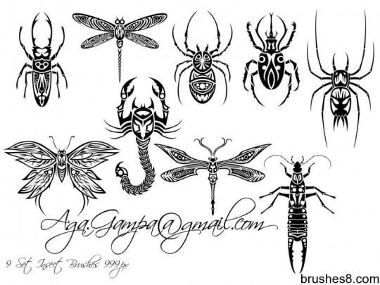 9套漂亮的昆虫花纹、刺青PS笔刷