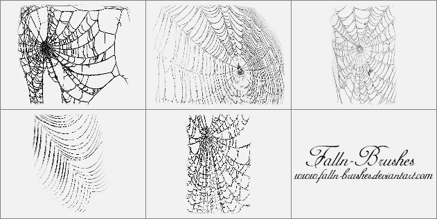 PS恐怖的蜘蛛网笔刷