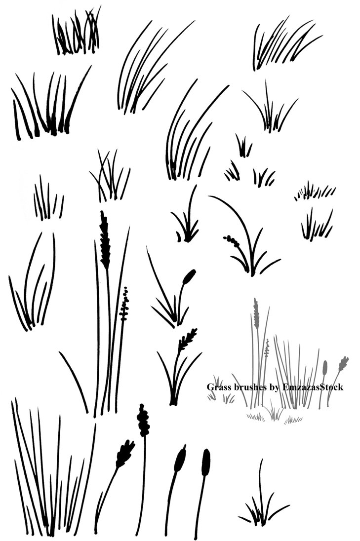 ps手绘青草|野草|杂草PS笔刷包|Photoshop笔刷