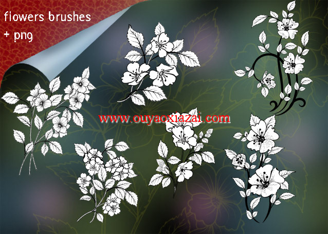 PS鲜花、花朵、花纹笔刷.abr下载
