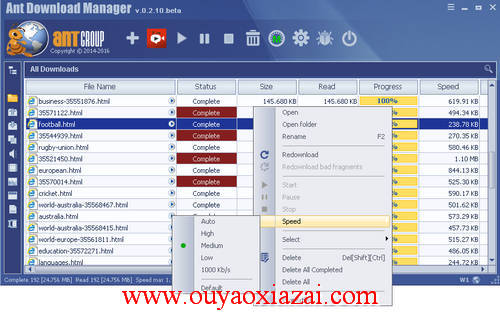 网络蚂蚁海外版_Ant Download Manager