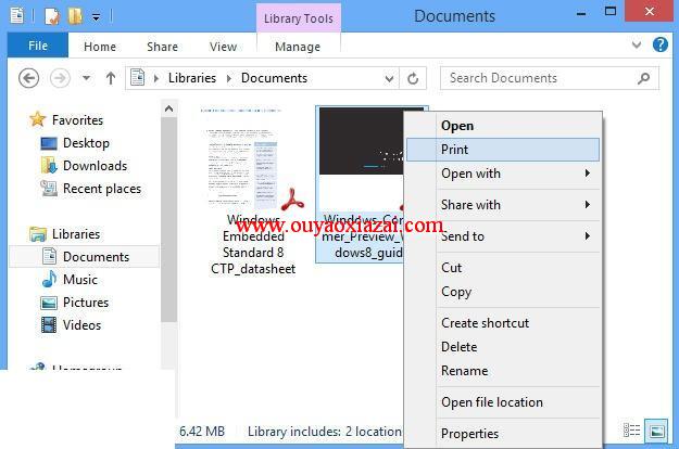 windows8打印PDF文件工具_PDF2Printer for Windows8