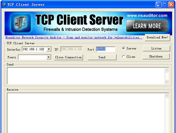 TCP Client Server绿色版