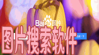 图片搜索软件合集