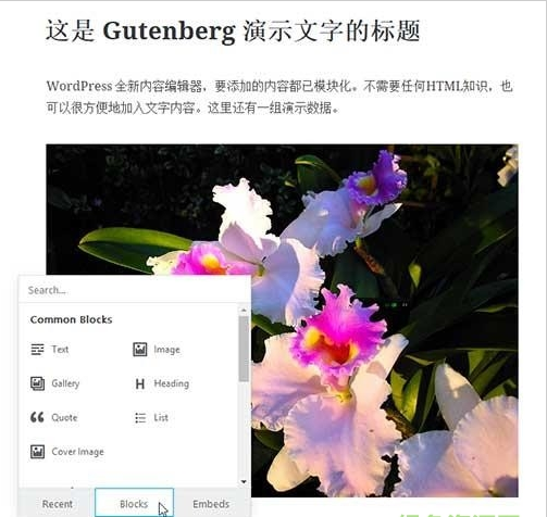 Gutenberg编辑器插件