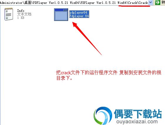 pdplayer中文版