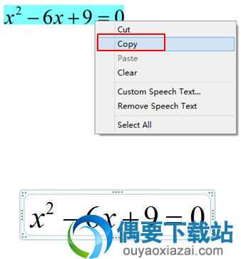 将公式使用到word或其他文档