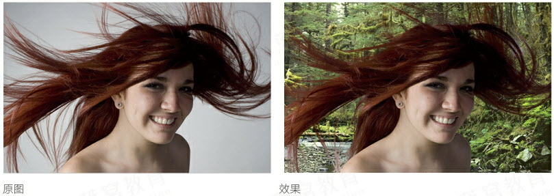 fluidmask3抠图教程