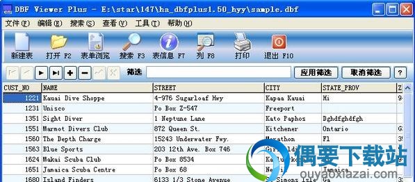 dbf阅读器_DBFView Plus 1.74