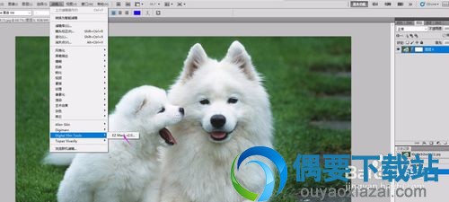 DFT EZ Mask使用方法