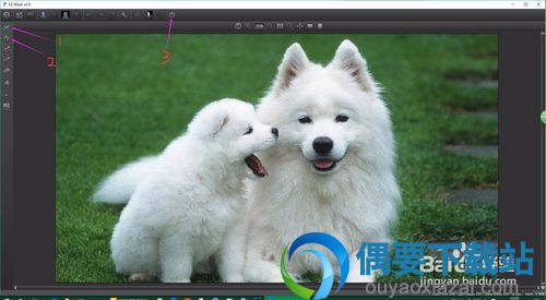 DFT EZ Mask使用方法