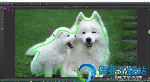 DFT EZ Mask使用方法