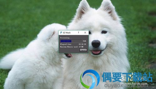 DFT EZ Mask使用方法