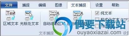 文字捕捉功能
