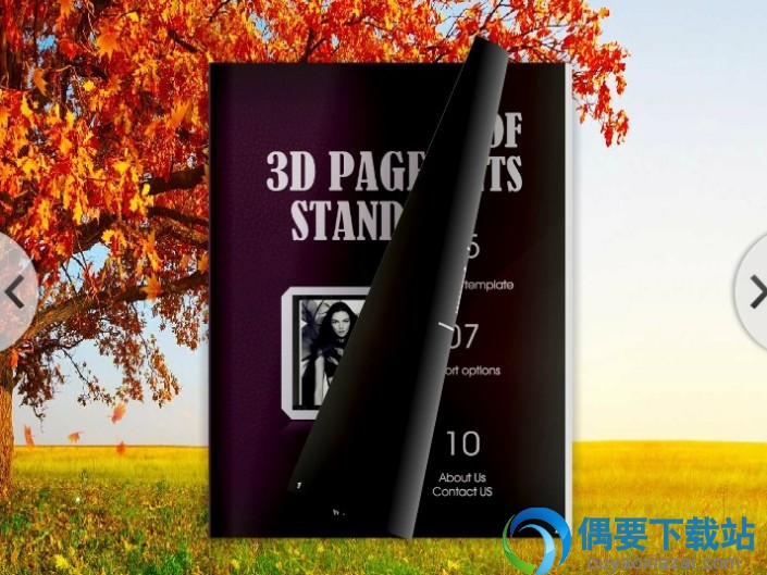 3D PageFlip制作完成的电子书效果