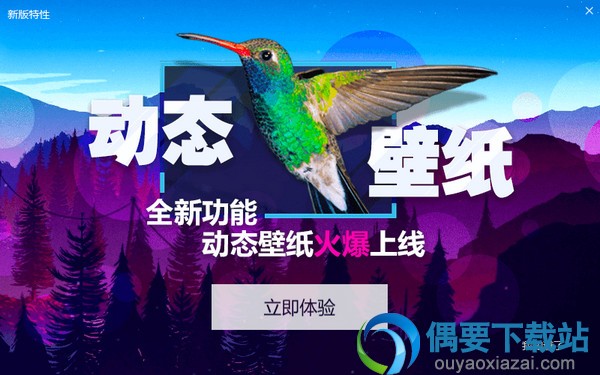 360小鸟壁纸软件_原360壁纸