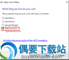 选择other service
