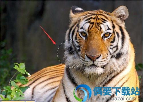 出现一个圆形的蚁行框选区