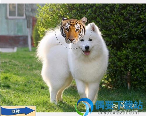 进入脸部合成区