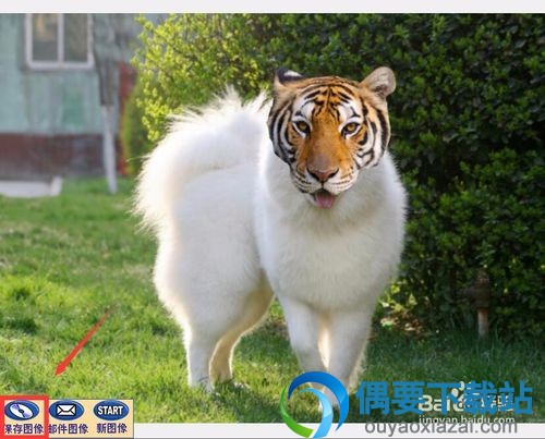 保存图像换头成功