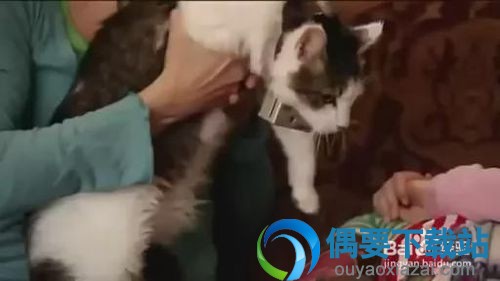 正常打开webm格式文件
