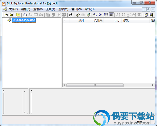 disk explorer pro绿色版_文件管理工具