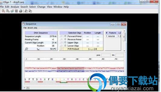 oligo7_引物设计软件