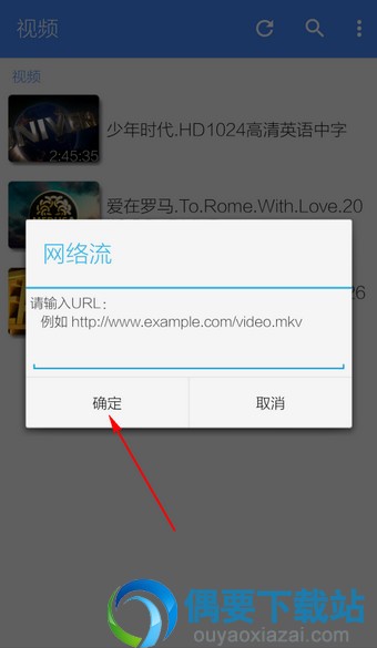 输入视频的播放网址开始播放